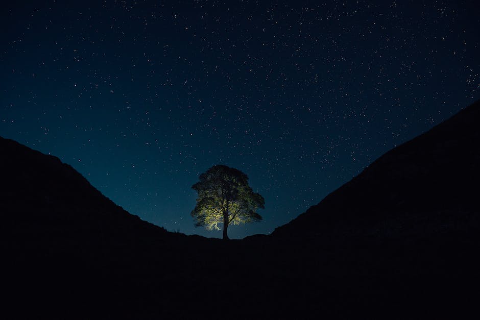 A majestic Sycamore Gap Tree standing alone amidst lush green landscape and ancient Roman fortification, symbolizing the passage of time.